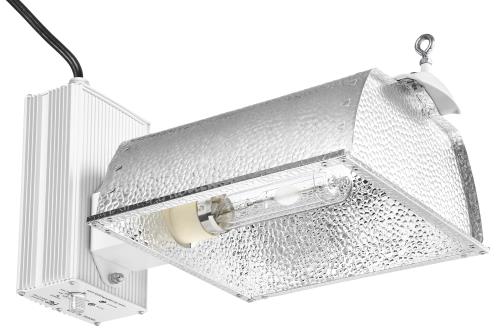 HGC906248-01